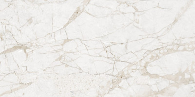 Керамогранит NTCeramic Marmo Impero Grey Carving NTT99519M (60х120 см)
